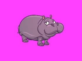 hippos sizes