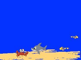 Ocean Life 1