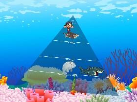 Ecological Pyramid 1