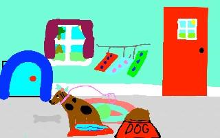 Playing with the dog