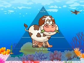 Ecological Pyramid 1
