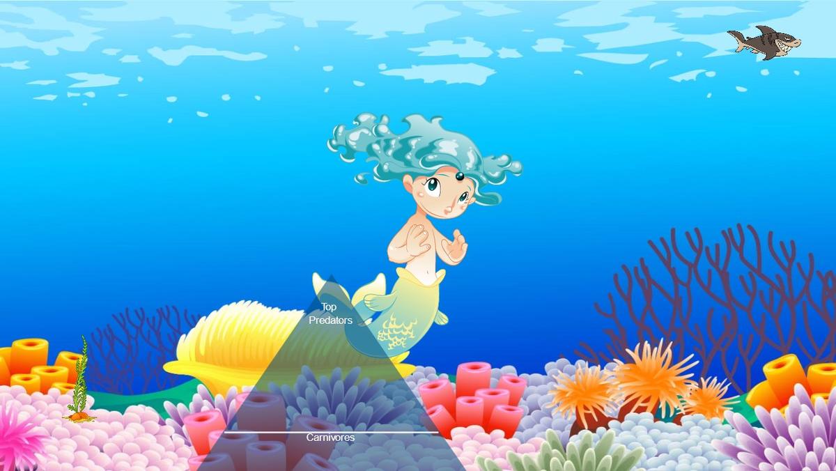 Ocean Ecological Pyramid