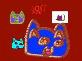 don&#039;t ask