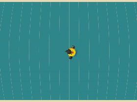 Bird Mayhem 1