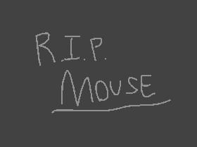 R.I.P. Mouse:(