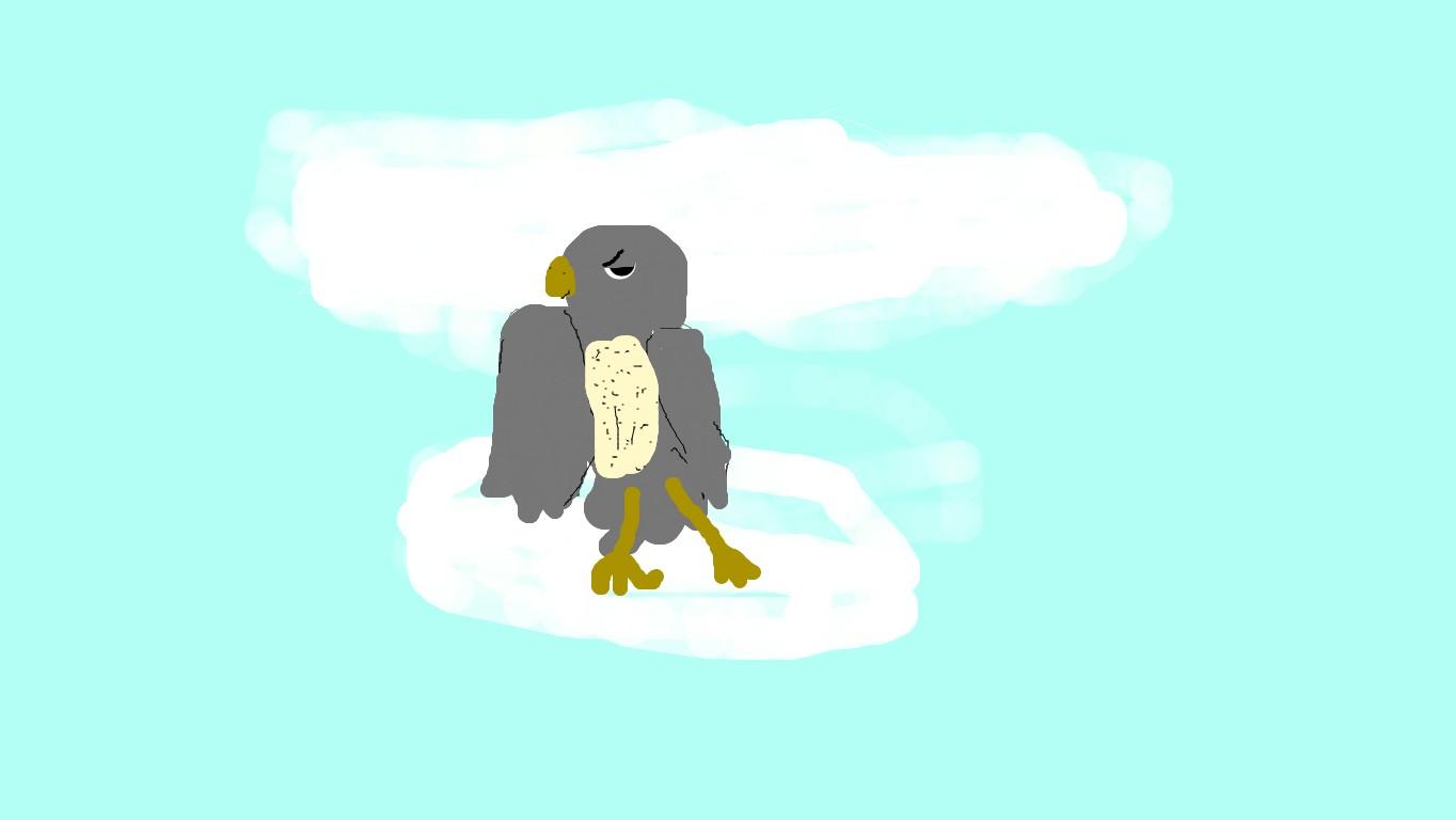 the falcon!