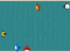 Bird Mayhem 1