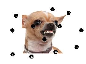 positivity orbs - copy