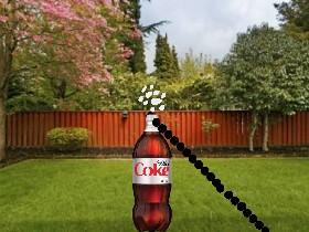 mentos in coke  1 1