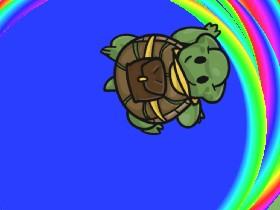 Turtle Trails 1 1