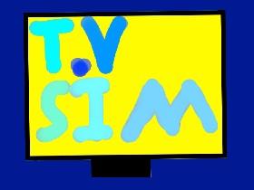T.V Simulator! 1
