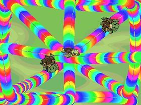 Turtle Trails by kayla