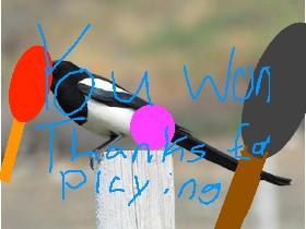 Pong Pong