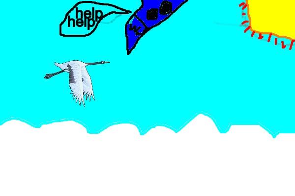 Flying Bird