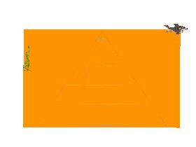 Ecological Pyramid 1