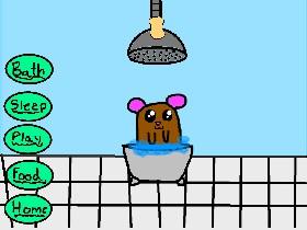 My Pet Hamster 1