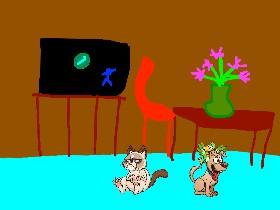 Cat's bad day