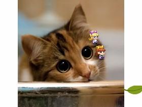 hello