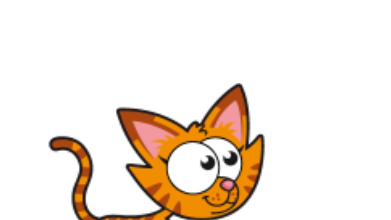 kitty