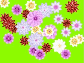 Flower Power 1