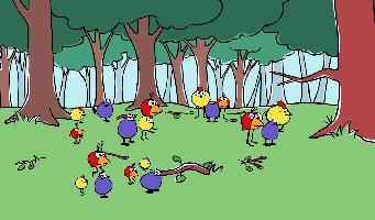 So this is what birds do