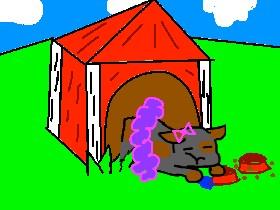 Bryant, the talking dog. 2