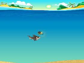 Kill the shark