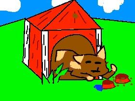 ashly the talking dogo