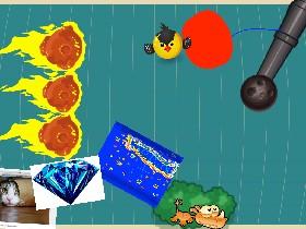 Bird Mayhem 2
