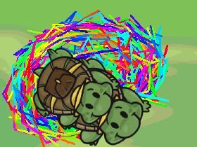 Turtle Trails 1