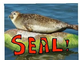 SEAL!