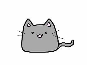 weird cat 1