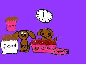 Feed the dog