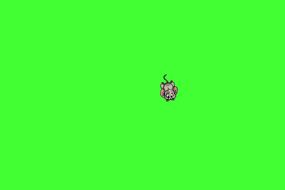 kkloojkhb