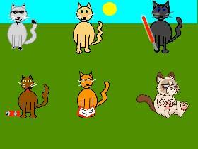 Cat Advice 2 :D
