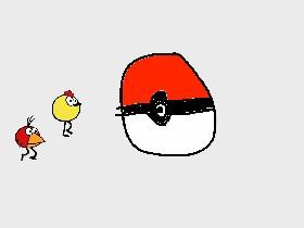 the race of peep and chirp