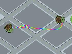 Turtle Trails 1