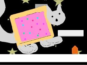 Nyan Cat Flying In Space