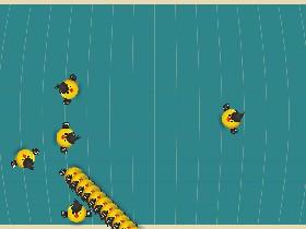 Bird Mayhem 2