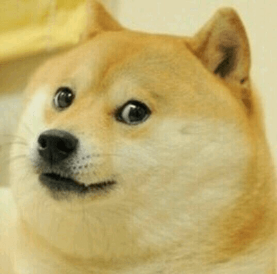 Doge Survival 1 1 1