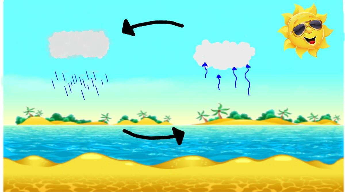 Water Cycle - Primary