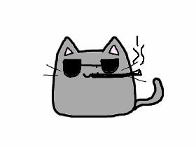 kitykat