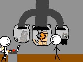 Where cats are illegal 1