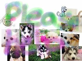 save the animals!!!!!!!!!!!!!!!!!!!!!!!!!!!!!!!!!!!!!!!!!!!!!!!!!!!!!!!!!!!!!!!!!!!!!!!!!!!!!!!!!!!!!!!!!!!!!!!