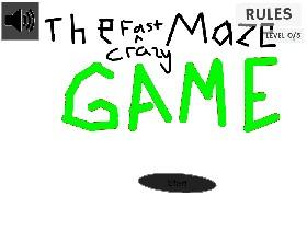 The Crazy Fast Maze Game 1 1