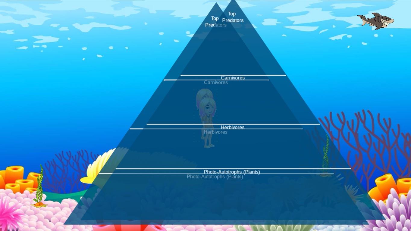 Ocean Ecological Pyramid