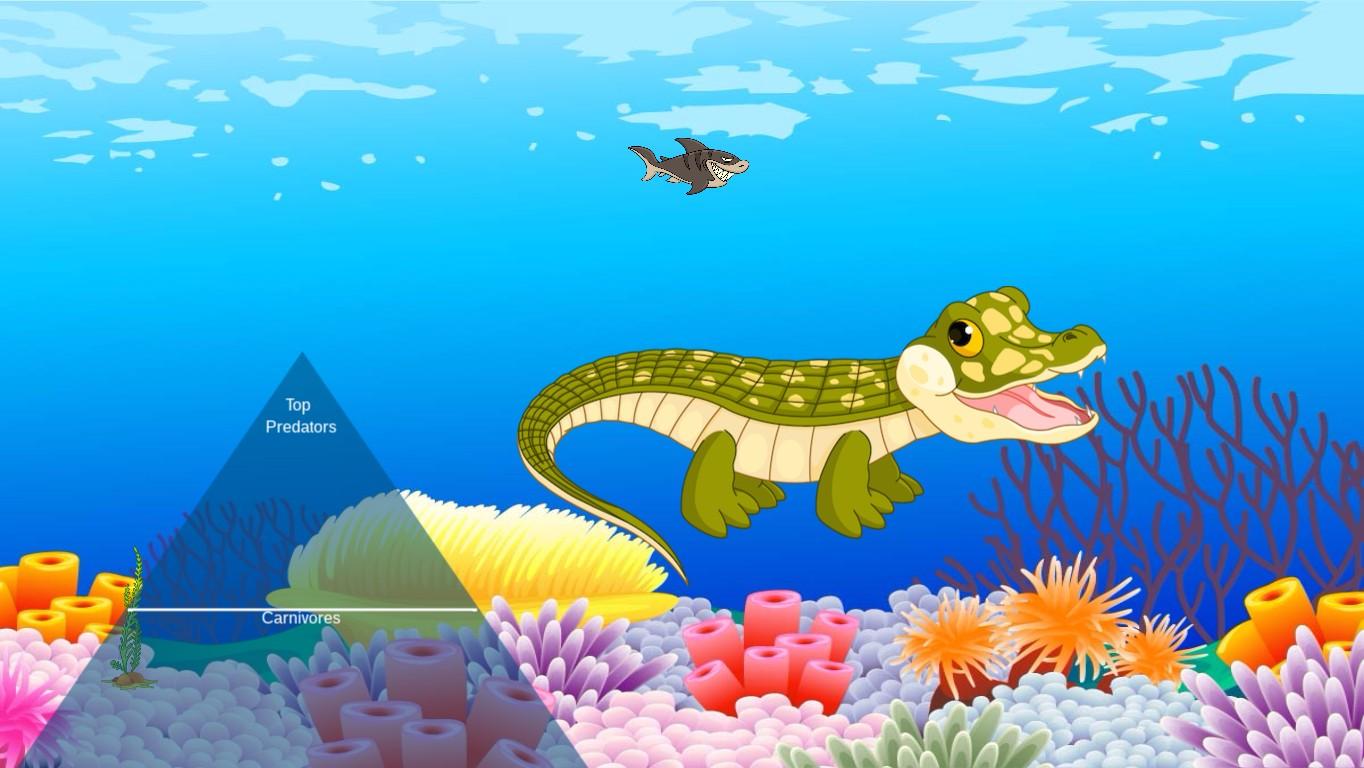 Ocean Ecological Pyramid