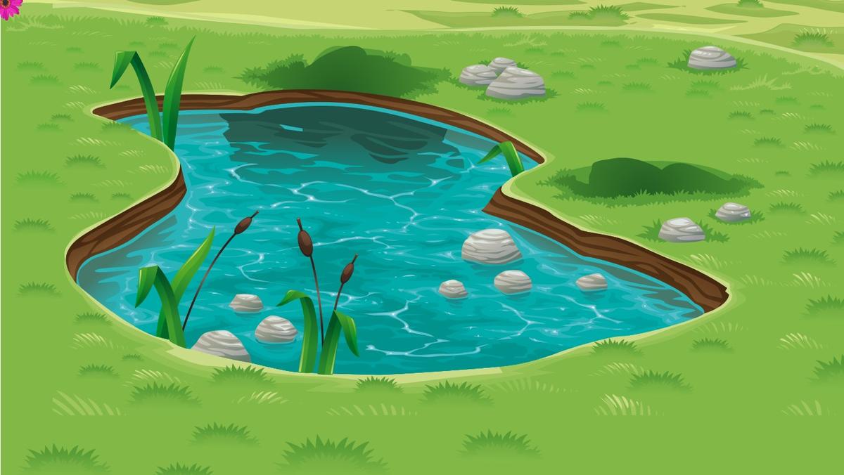 Mother's Day Mad Libs