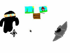 True ninja part one 1