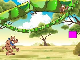 dino spazem